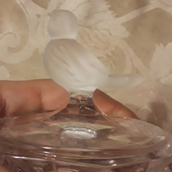 Hoffbauer byrds collection crystal - Picture 5 of 8